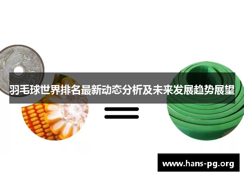 羽毛球世界排名最新动态分析及未来发展趋势展望